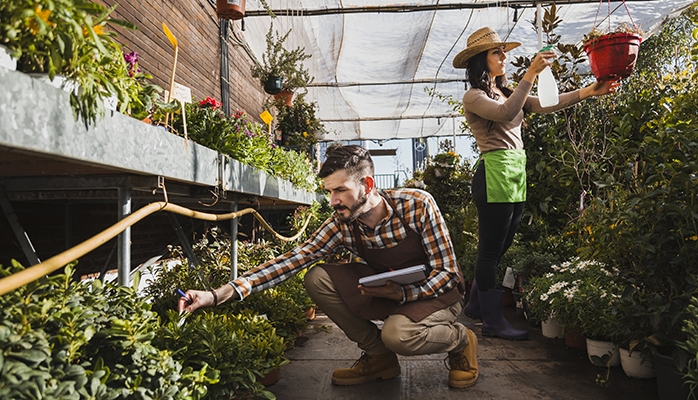 Le niveau de vie des ménages agricoles est plus faible dans les territoires d’élevage